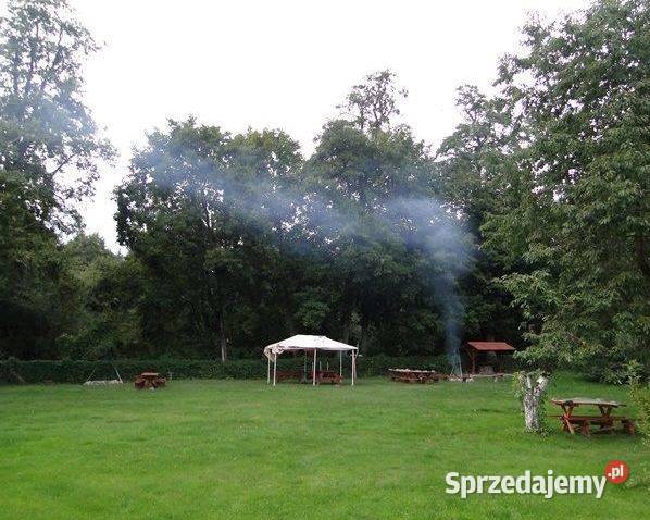 Spływy kajakowe rzeką Wel Pole namiotowe z warmińsko-mazurskie Lidzbark-Nadleśnictwo