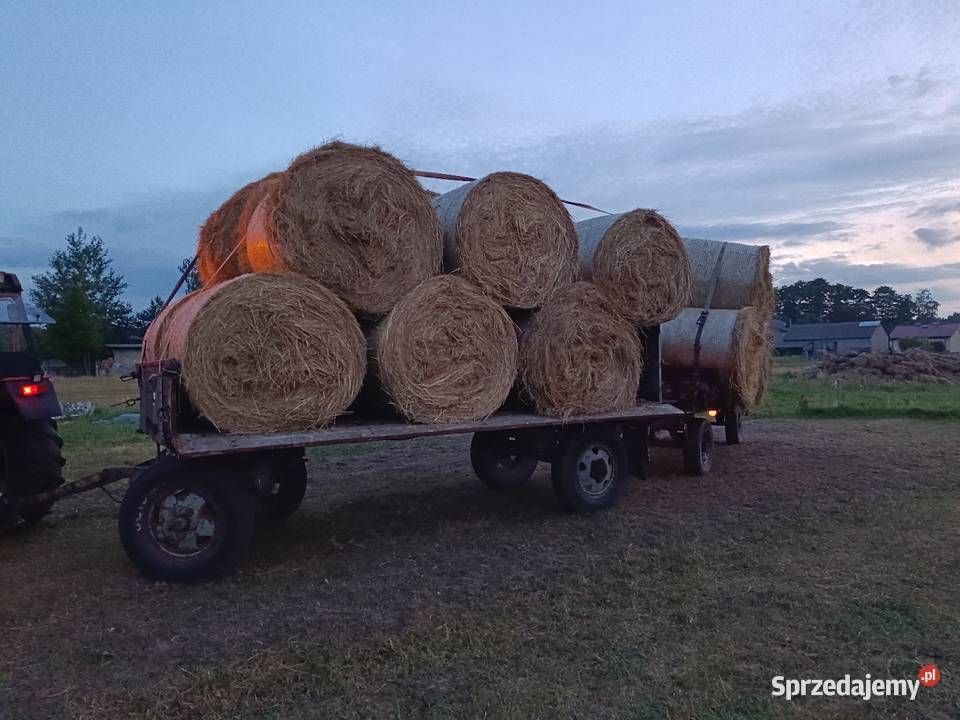 Sprzedam przyczepę wymiary 4 5m szerokość 210 Przyczepy rolnicze Żyrardów