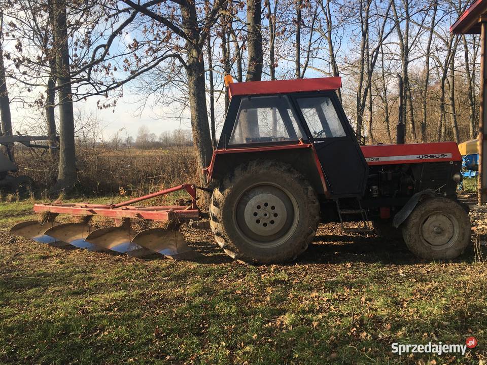 Zetor 8011 Ursus c 385 świętokrzyskie Łubnice