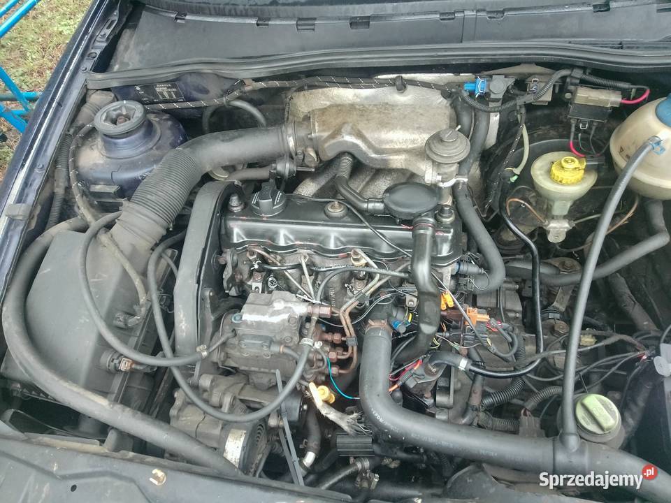 Volkswagen polo 19 SDI Kościan