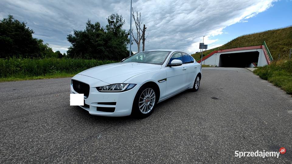 Jaguar XE 2014 Sedan 20 TD Navi Skóra Bi Ksenon śląskie Bytom sprzedam
