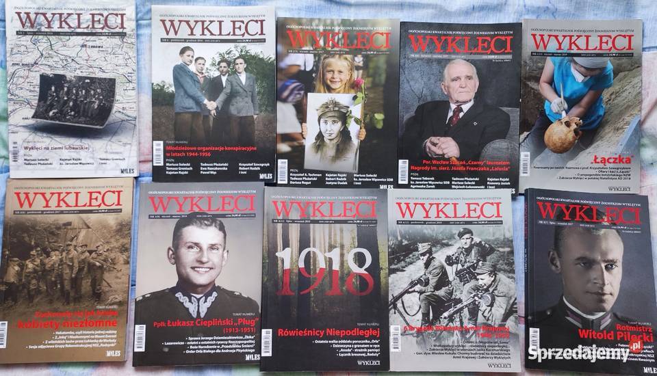 Książki partyzanckie Ruch Oporu konspiracja itp historia, archeologia Książki naukowe i popularnonaukowe