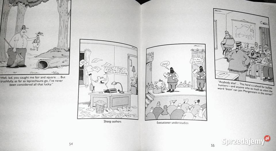 Last chapter and worse A far side collection miękka Chełm