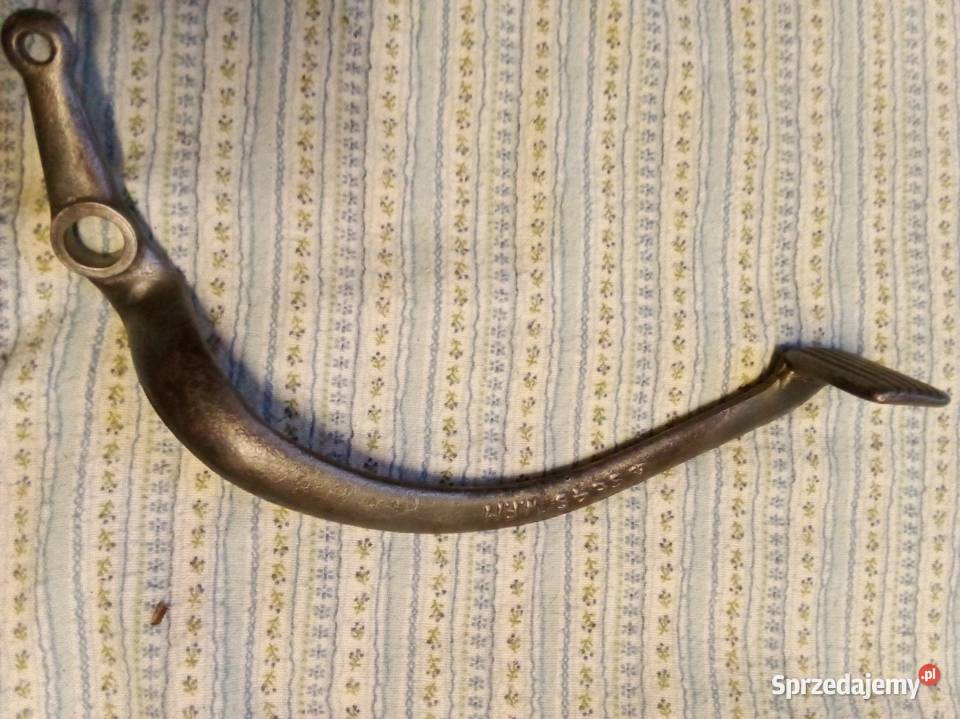 Komar Simson wfm Baldram