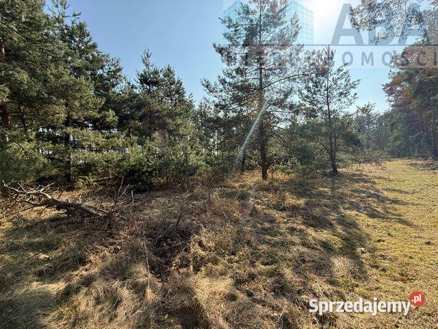 Na sprzedaż działka Niezgoda gm Słupca