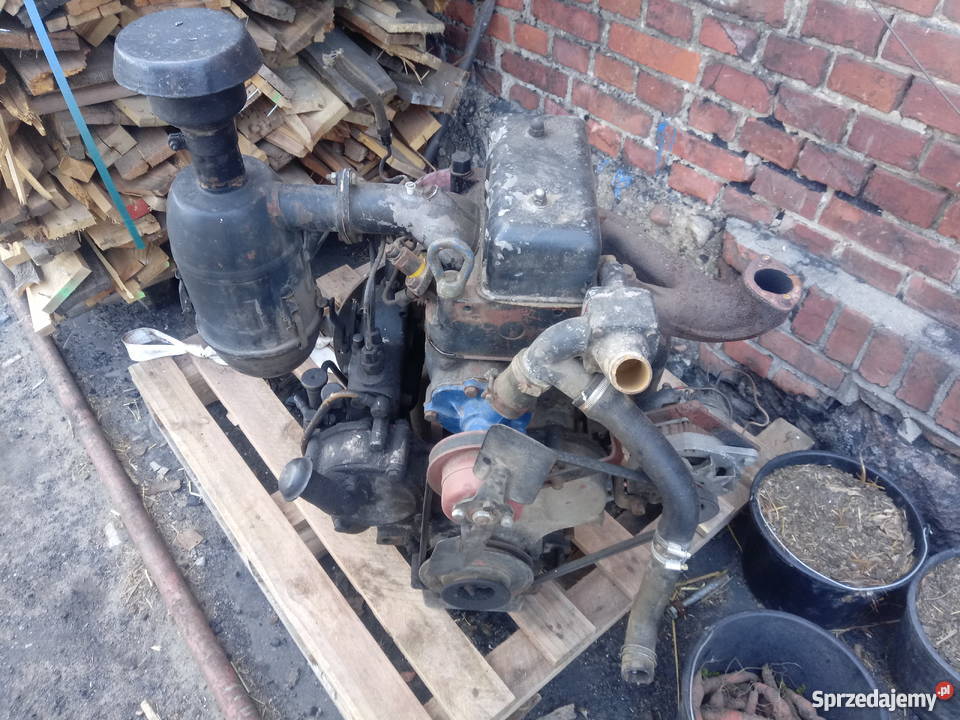 Silnik ursus c325 Ciągniki wielkopolskie Krobia