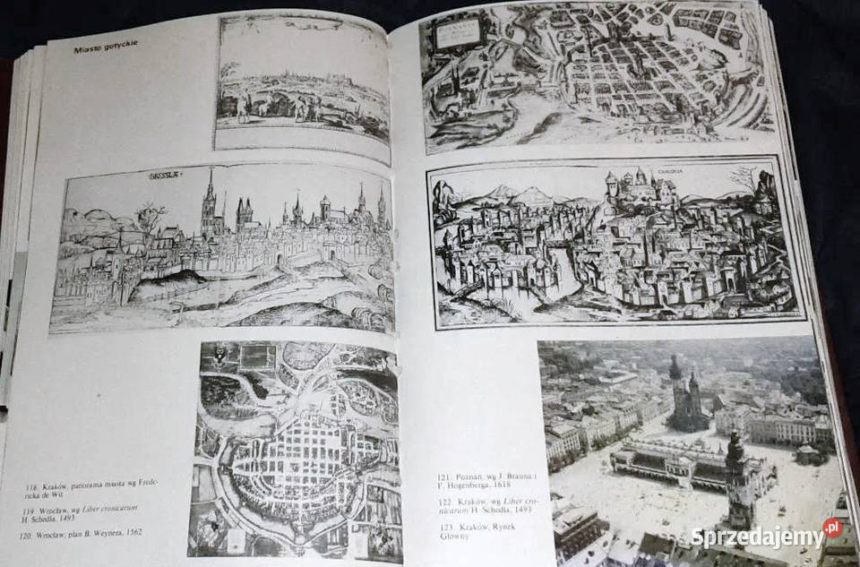 Dzieje sztuki polskiej Janusz Kębłowski twarda