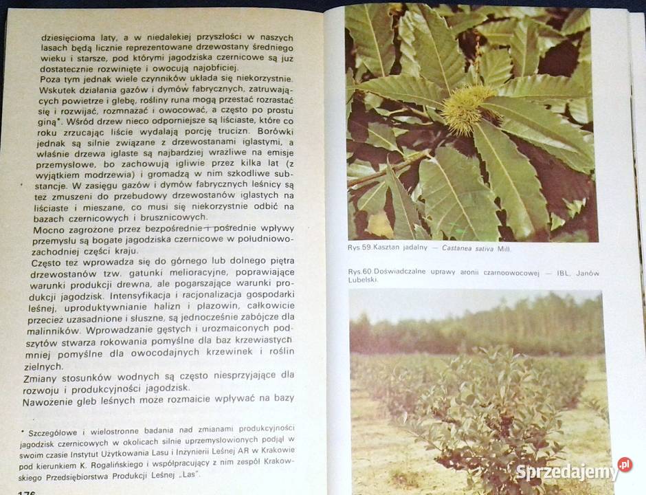 Jadalne owoce leśne Wiesław Grochowski Rok wydania 1983