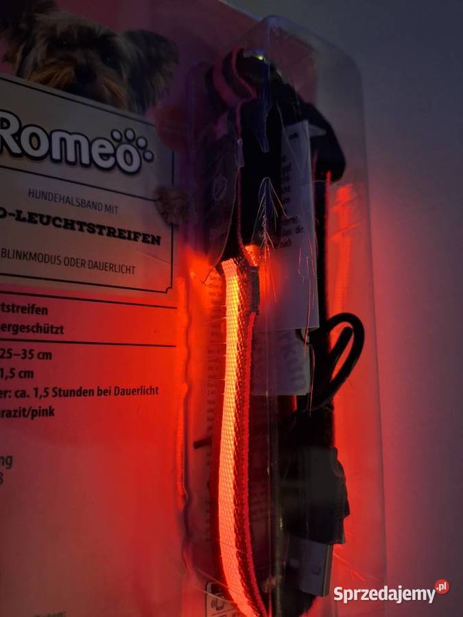 Obroża świecąca led usb Skarżysko-Kamienna