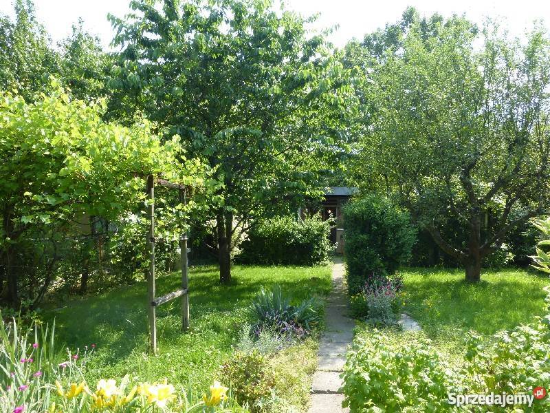 Dzialka ROD w centrum Krakowa zagospodarowana Kraków sprzedam