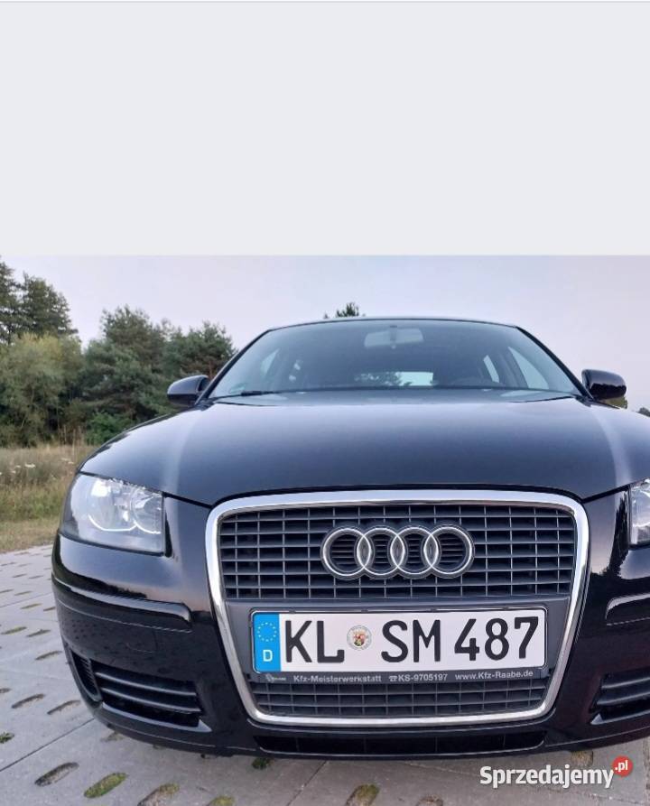 Audi A3 8P 19 TDIPiękna Czarna Woda