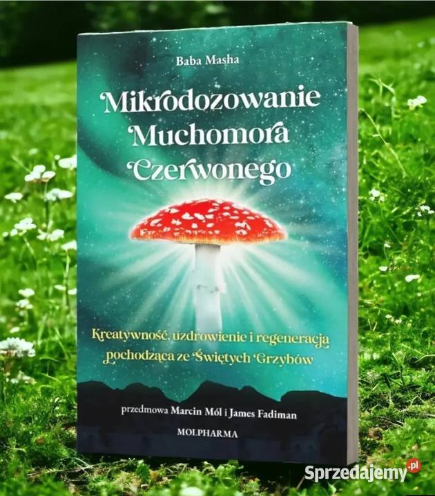 Nowa Mikrodozowanie Muchomora Czerwonego Baba Międzyzdroje