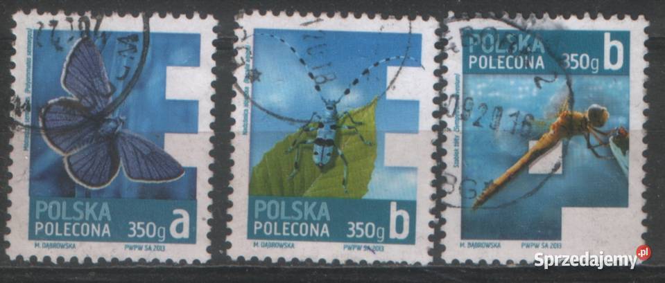 Zn Fi 4448 77 8 80 8 506 7 kas 2013