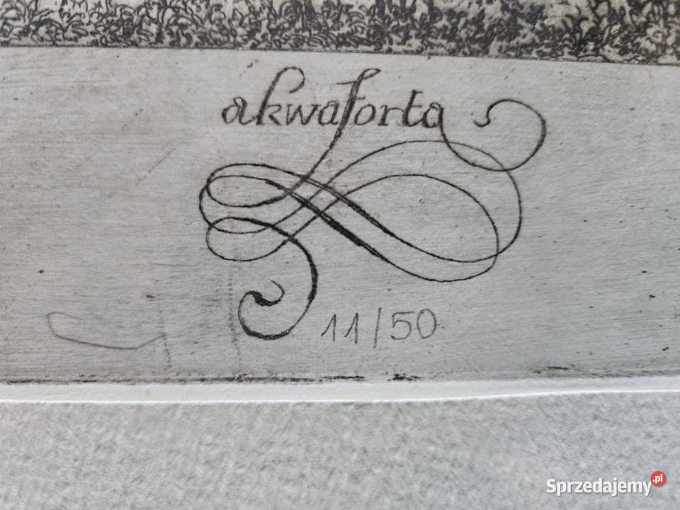 Historyczny Elbląg piękna rycina pomorskie sprzedam