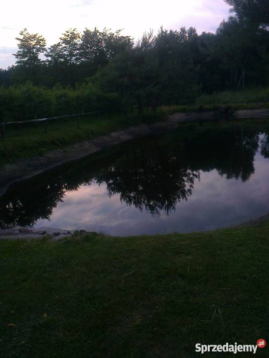 Sprzedam siedlisko Celestyny sprzedam