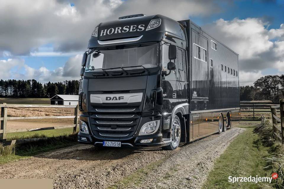 DAF XF 480 do przewozu 6 koni 2021r Luksus wielkopolskie Rokietnica