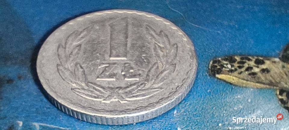 Monety PRL 1 1975 r Gliwice sprzedam