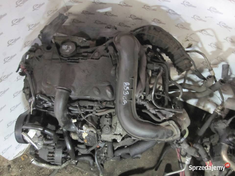 TRAFIC VIVARO PRIMASTAR 20 DCI M9R780 114 07r Kielce