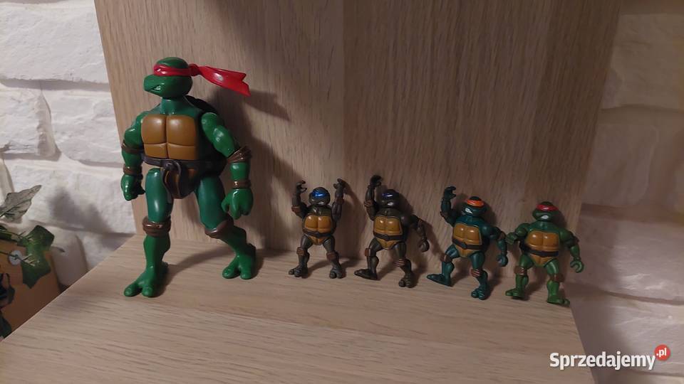 Wojownicze żółwia ninja dolnośląskie Oleśnica