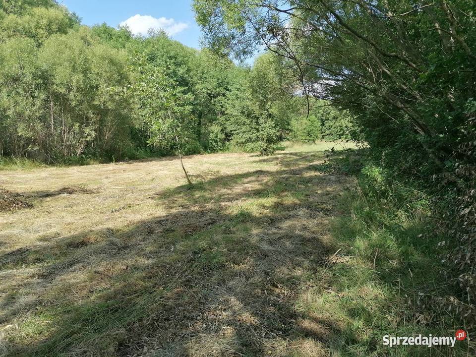 Działka rolna łąka 3800 mkw 3800m2 Koziołki