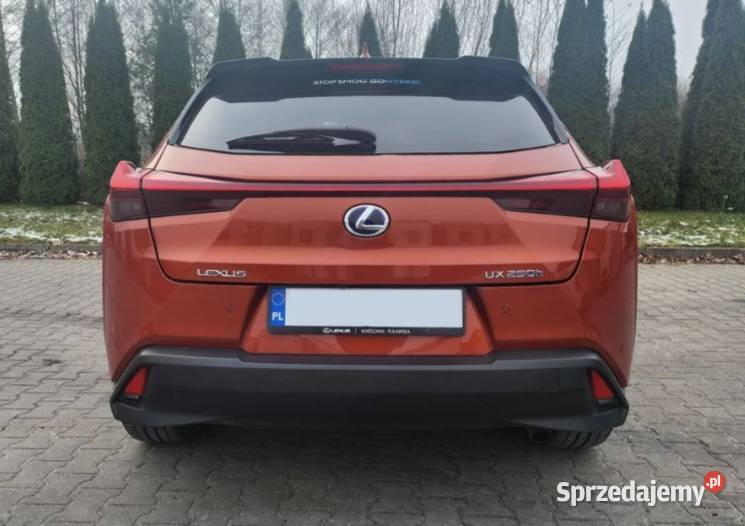 Lexus ux 250h hybryda gniazdo USB Puławy