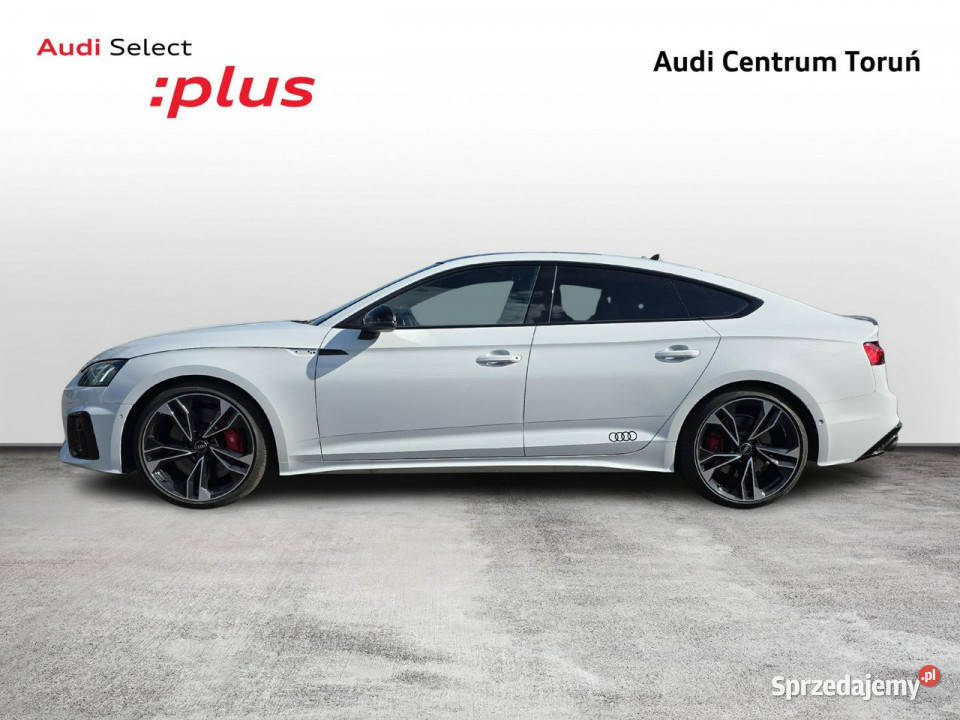 Audi S5 Toruń