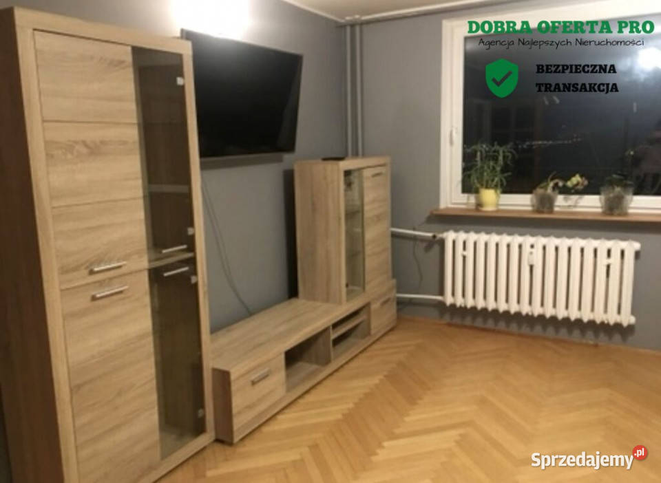 ielony azyl w Gdańsku widok na las Gdańsk