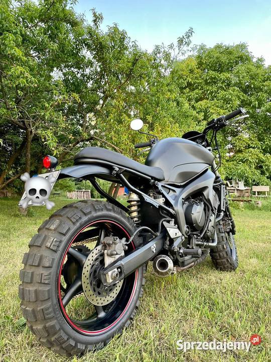 Yamaha cheap fz6 scrambler