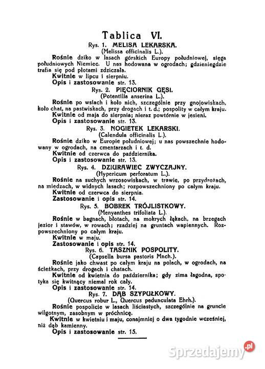 Ks SKNEIPP ZIELNIK Atlas roślin leczniczych Wyd medycyna, nauki medyczne mazowieckie Kozienice sprzedam