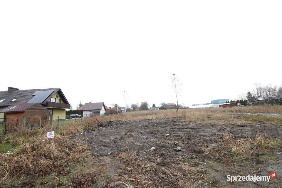 Działka Budowlana 6600 m2 Różanej Syców dolnośląskie