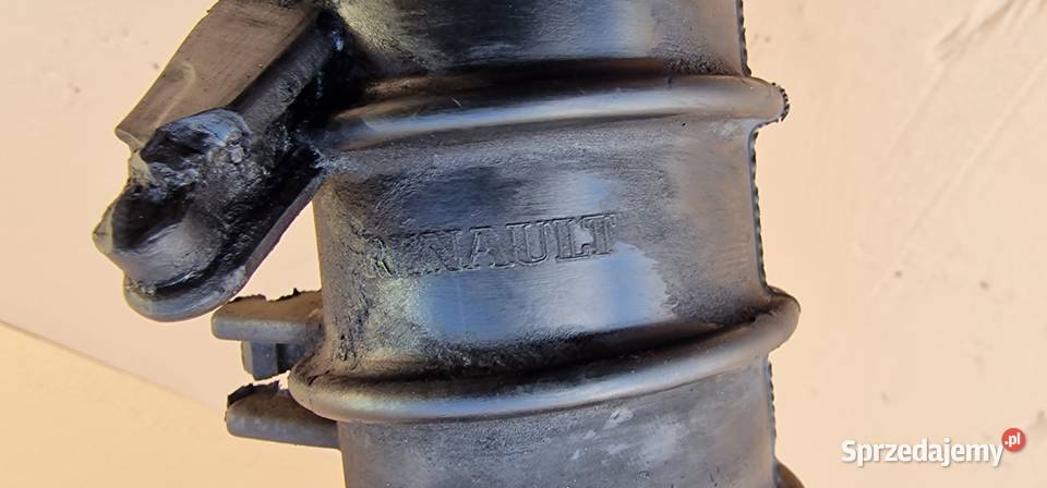 MASTER II MOVANO RURA DOLOT POWIETRZA Bieleń sprzedam