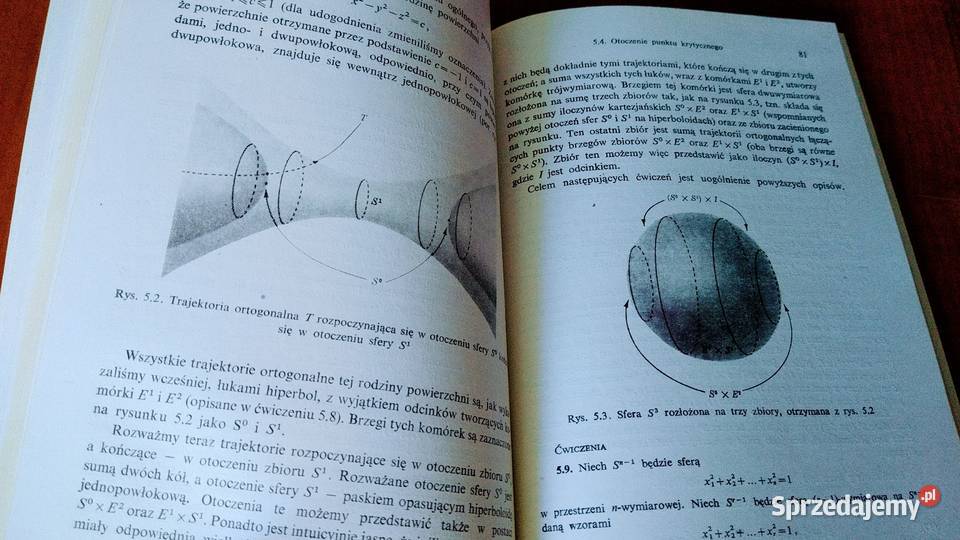 Wstęp do topologii różniczkowej Andrew H Wallace miękka Gdańsk