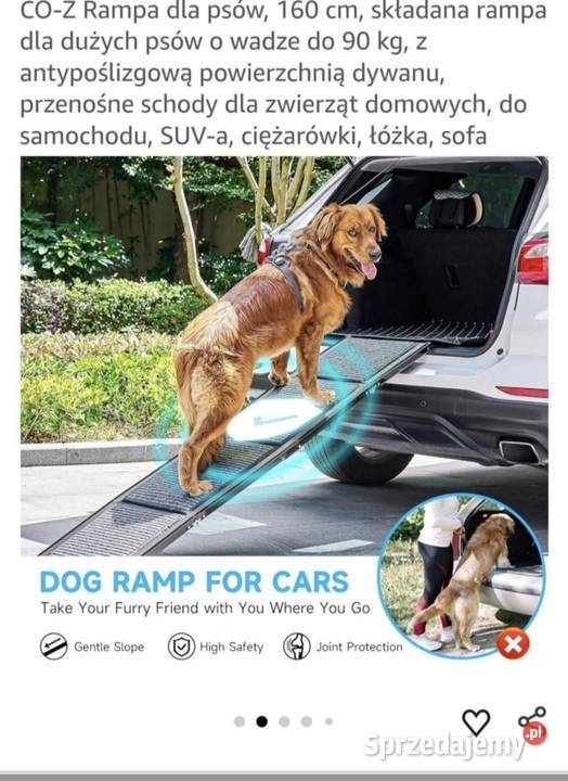 Składana rampa dużych psów pomorskie Starogard Gdański