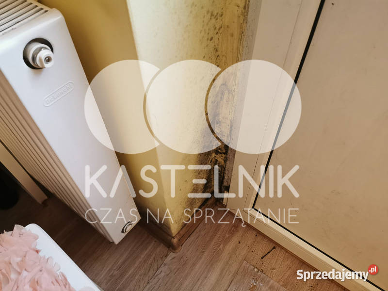 Odgrzybianie ścian Wolbrom Kastelnik Usuwanie małopolskie