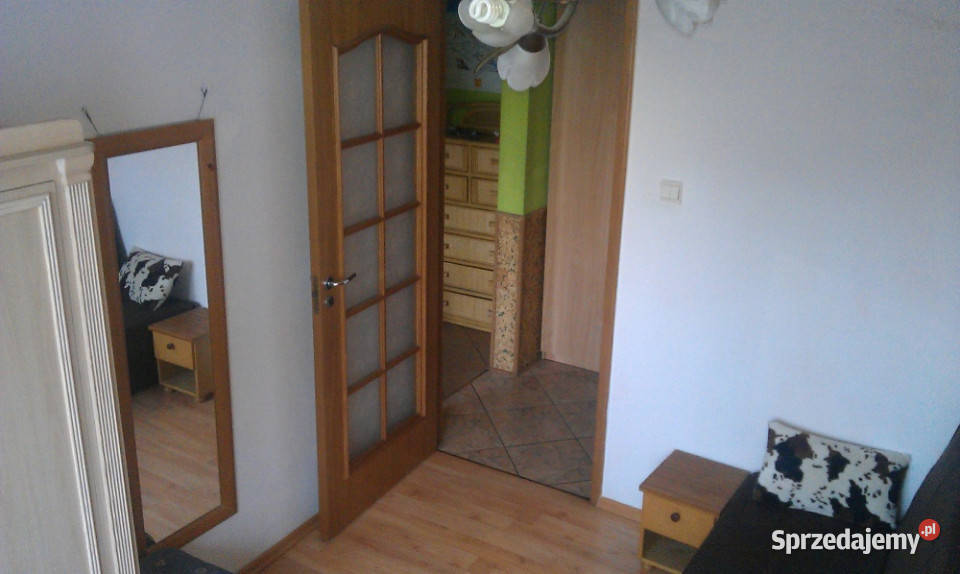 pokój do wynajęcia Sosnowiec sprzedam
