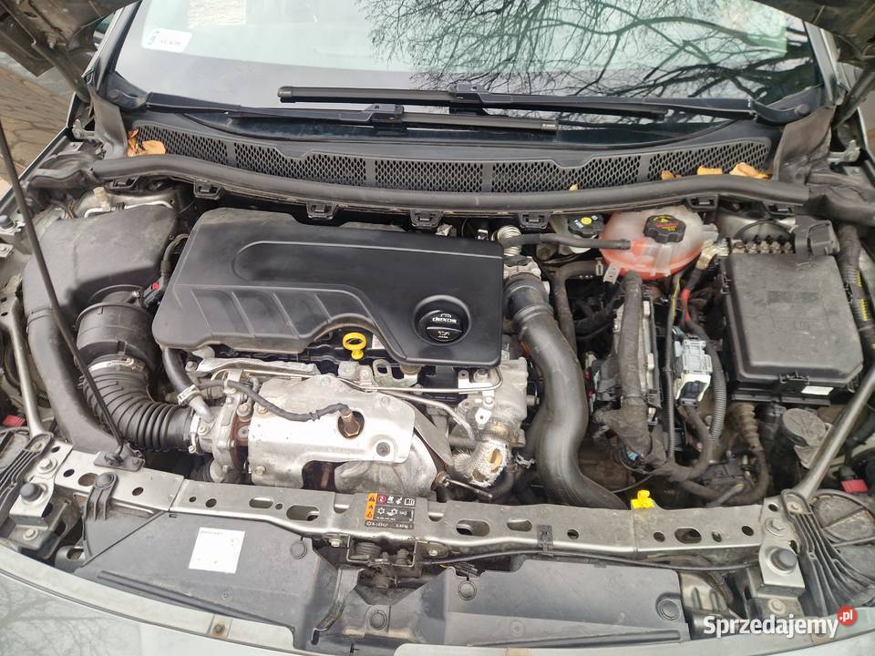 Opel astra k 16cdti 20182019 Rok produkcji 2018 Kraków