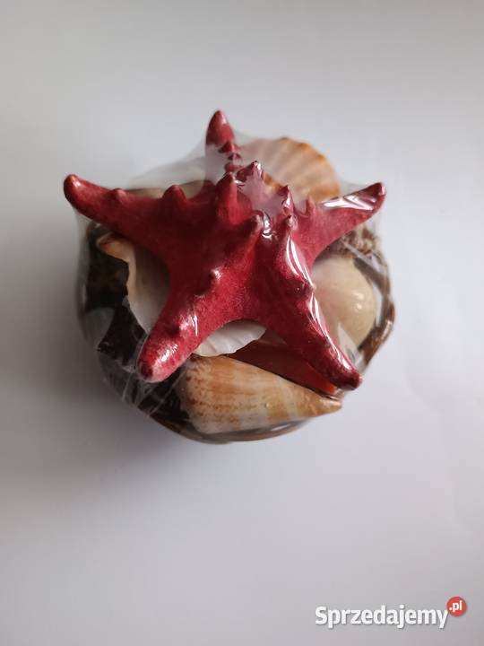 Muszelki Pamiątka znad morza wielokolorowy Warszawa