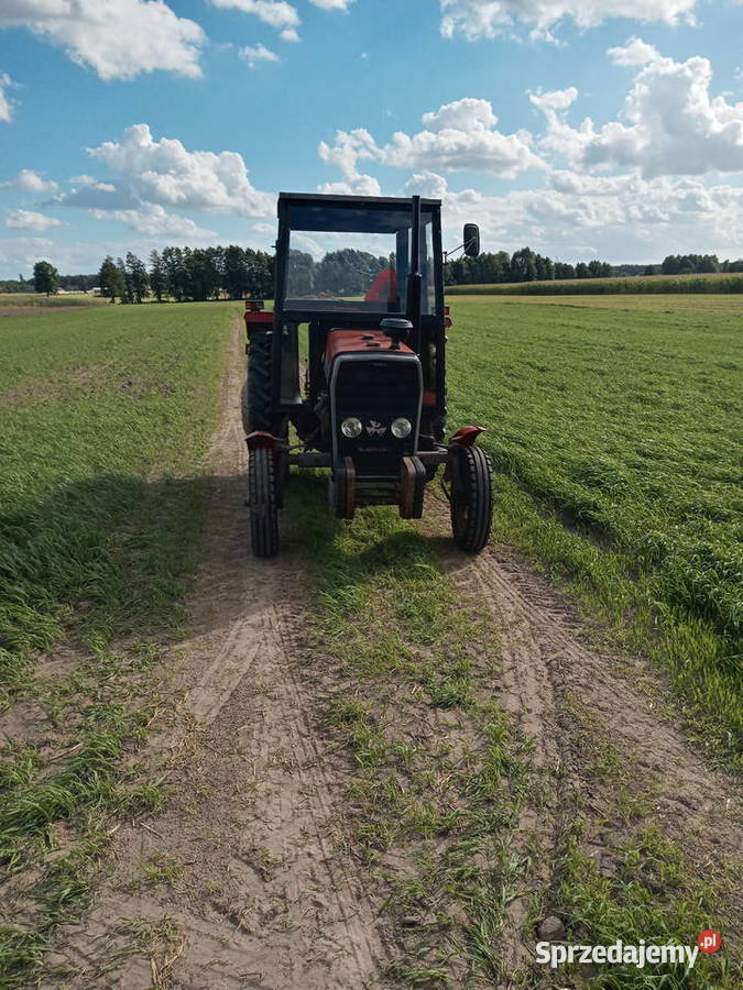 Massey Ferguson Ciągniki Koźminek