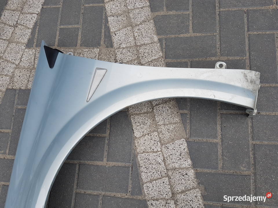 RENAULT MEGANE II BLOTNIK PRZOD LEWY PRAWY NV632 Turek sprzedam