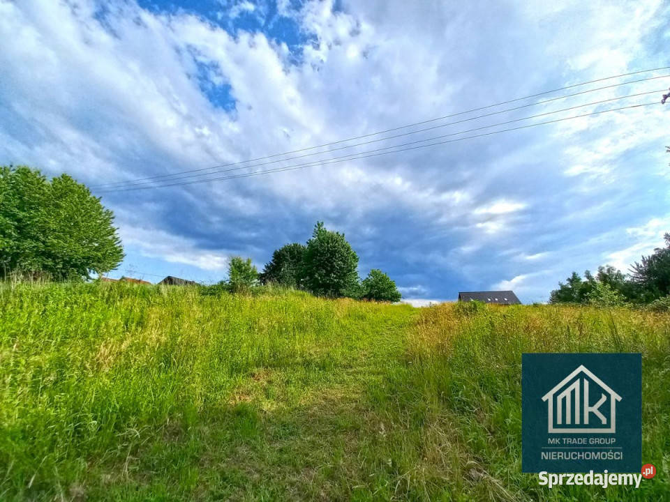 sprzedaży gruntu 2633m2 Szarów 2633m2 sprzedam