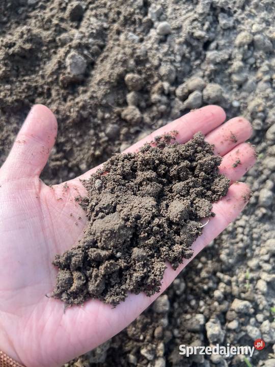 ZIEMIA PRZESIEWANA czysta do ogrodu pod rośliny sprzedam