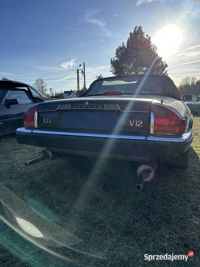 JAGUAR XJ12 53i świętokrzyskie Bliżyn