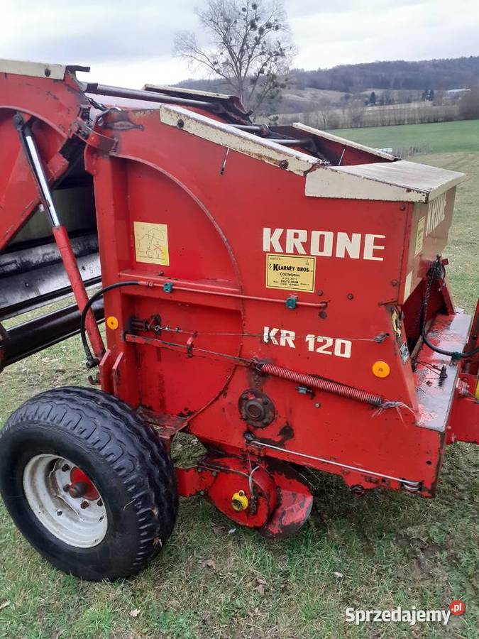 Sprzedam prase krone 120 Radecznica