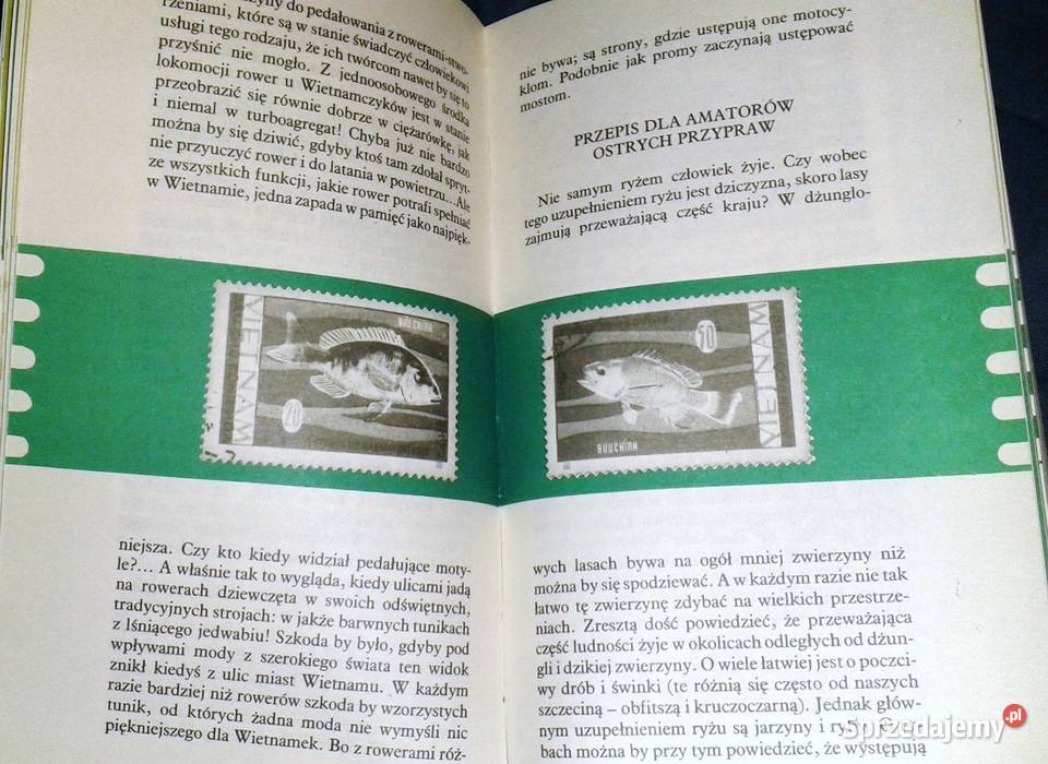 Kraj wielkie S Zbigniew Stolarek Pozostałe Chełm