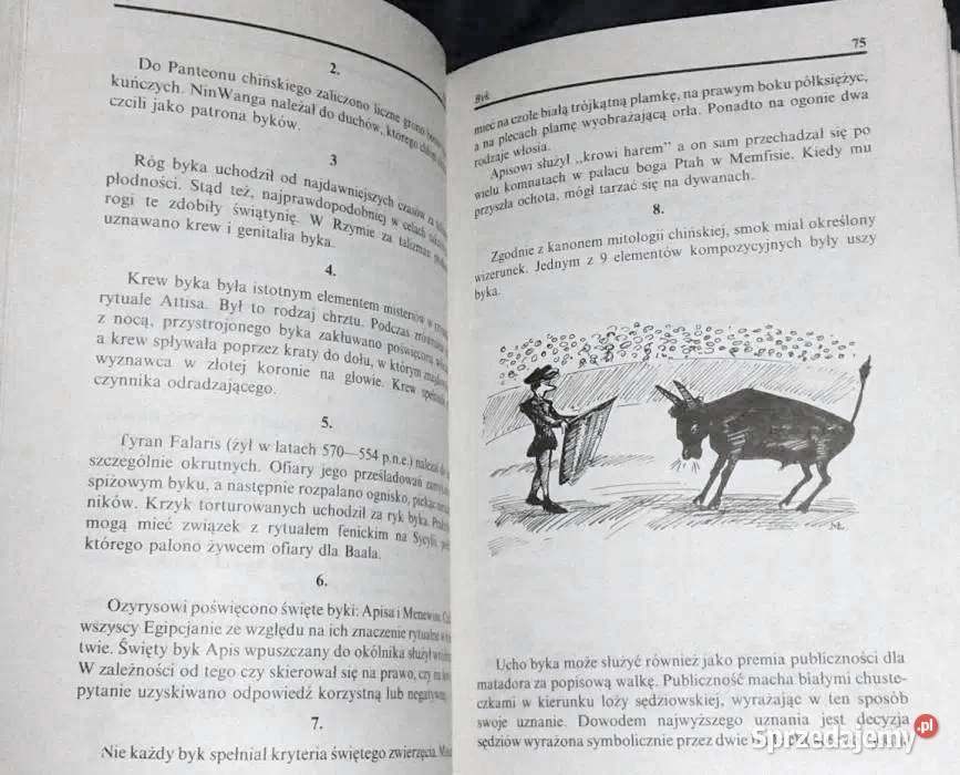 Leksykon ciekawostek Jerzy Marchewka Chełm