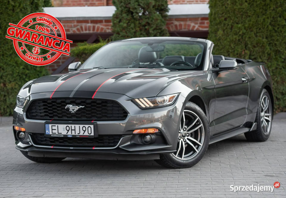 Ford Mustang Lift Cabrio 23i 317 Super Stan isofix Zwoleń