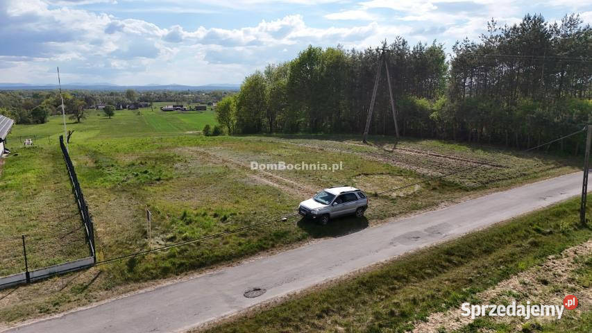 Ogłoszenie grunt 12400m2 Dębina 12400m2 małopolskie