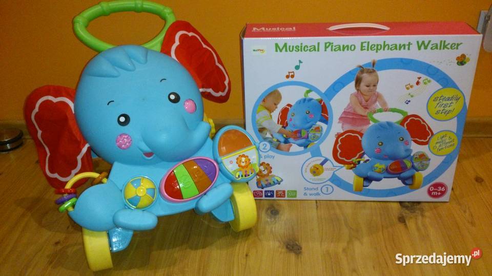 Chodzik Pchacz ZebraInteraktywny lubuskie Zielona Góra sprzedam