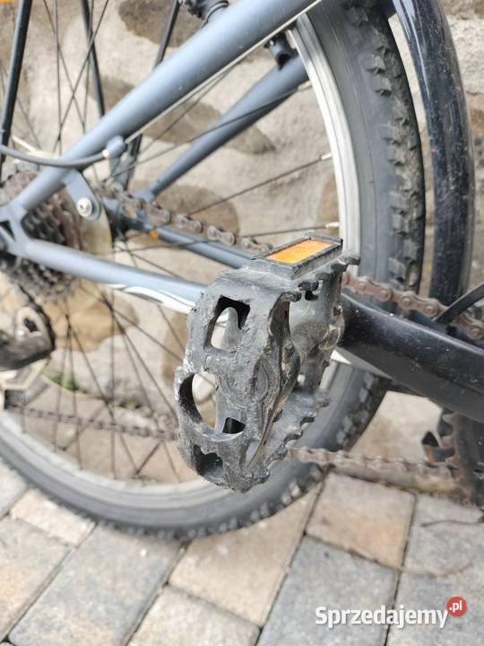 Leopard space cat biało siwy rower chłopięcy Urszulin