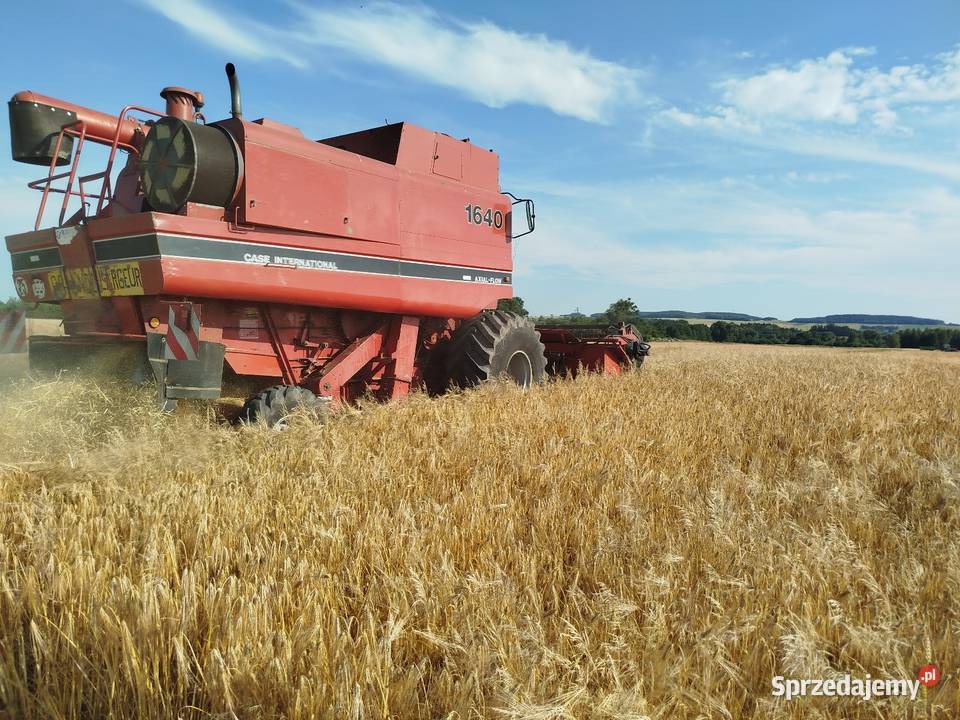 Kombajn zbożowy Case 1640 International 43 heder Rejowiec Fabryczny sprzedam